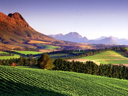 Stellenbosch