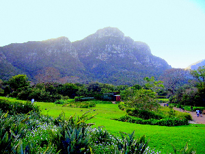 Kirstenbosch